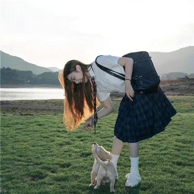 墨西卡利笨猫