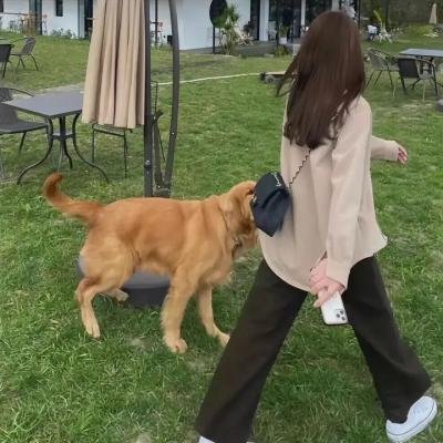 春夏事件簿